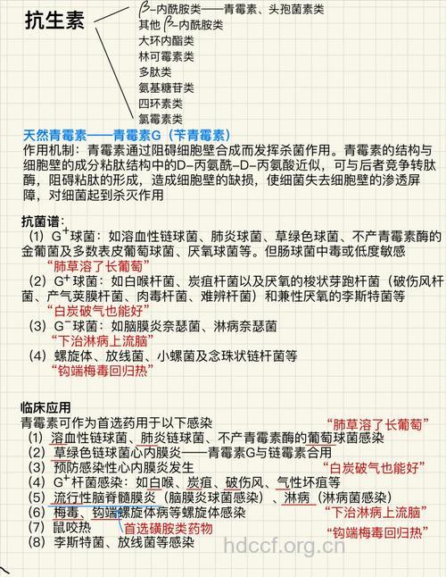 抗生素的几大临床反应