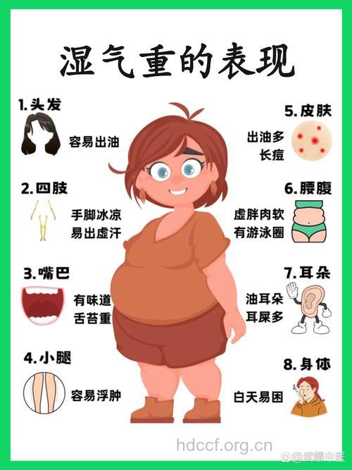 身体虚胖 多是湿气引起的