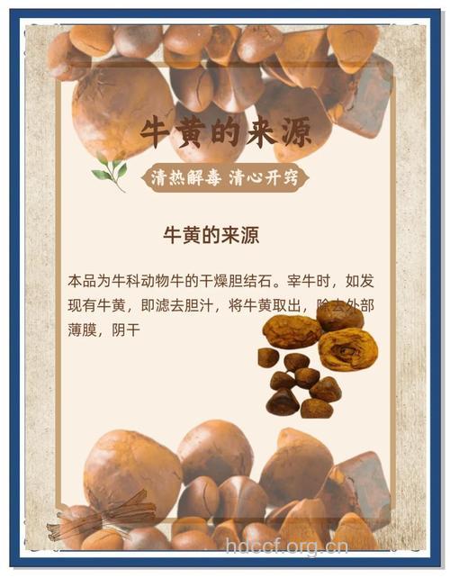 解毒祛火不可常用牛黄