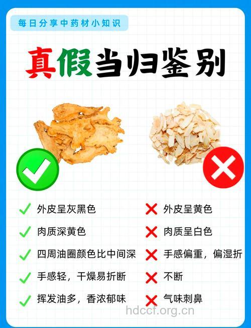 教你如何辨别真假当归