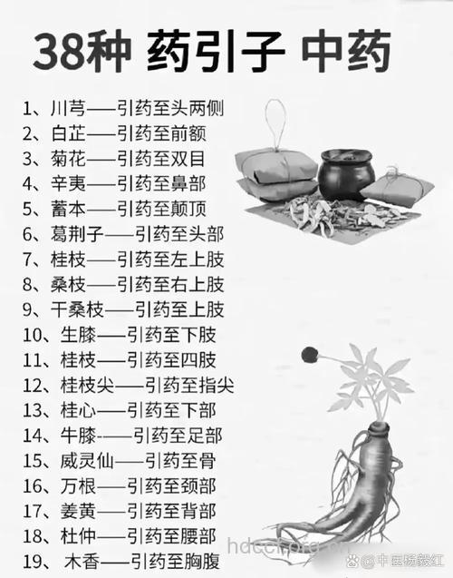 中药“药引”有哪些?