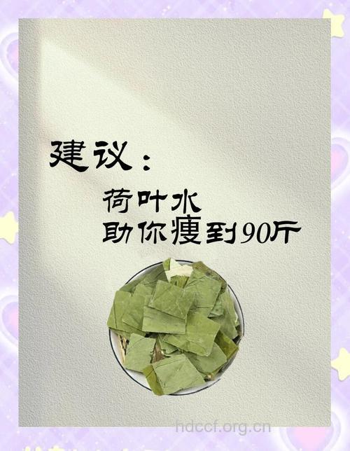 人气荷叶减肥法 想变瘦就是这么简单