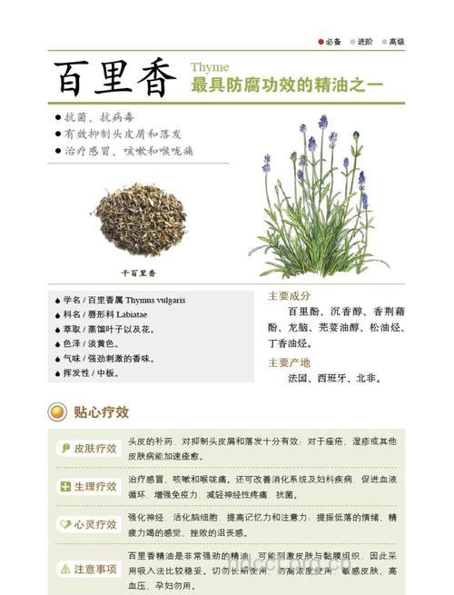 百里香的药理作用