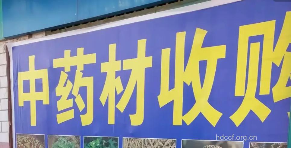 洛阳：二手药回收危害大