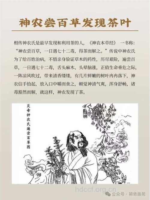 揭穿“天下第一草”的神话