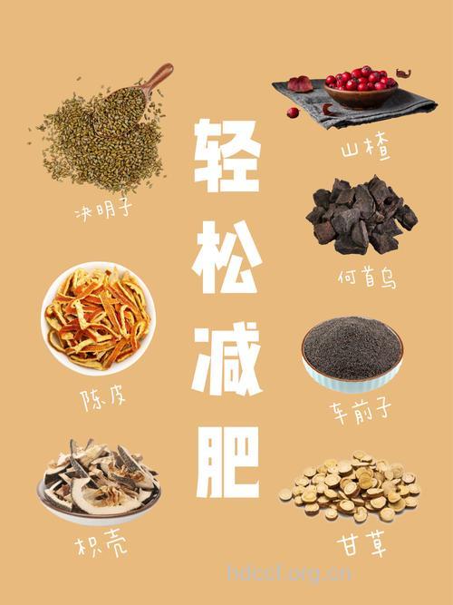 中药减肥效果好不好 7种中药减肥效果好