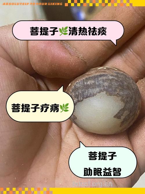 菩提树皮的中药妙方