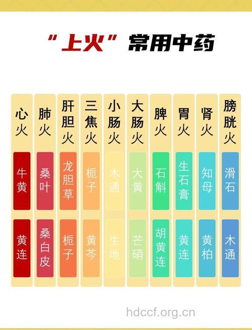 不同脏器上火,不同用药