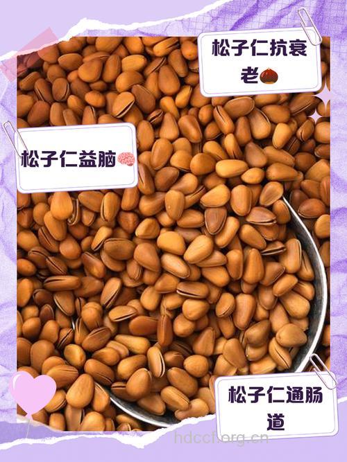 松籽有哪些药用价值?
