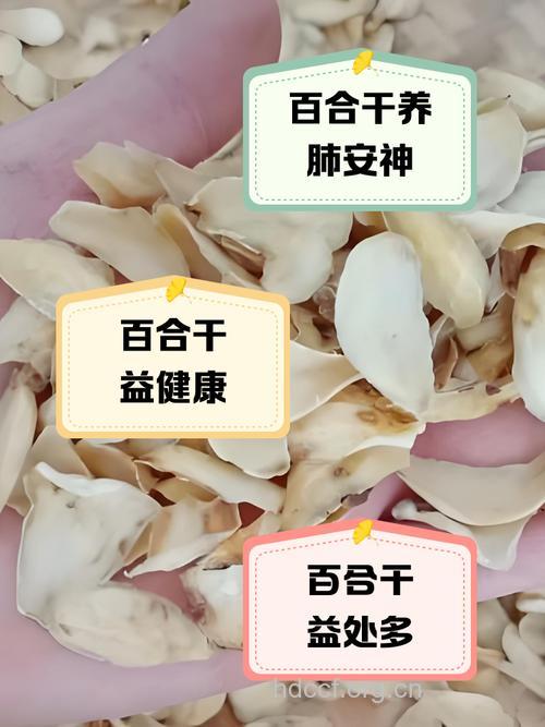 药物干燥有窍门