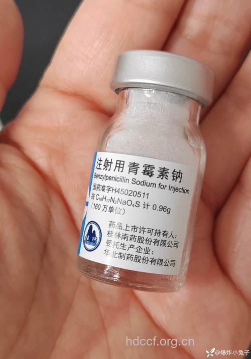 新型青霉素 可致过敏性间质性肾炎