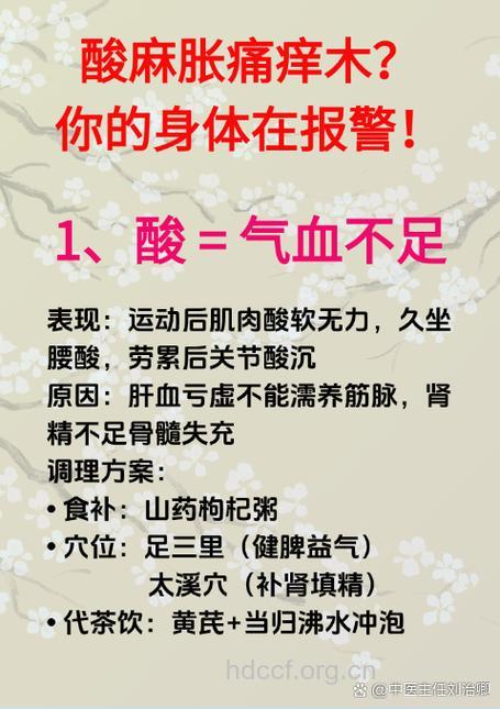 喝水都长肉怎么办 中医说先补气血