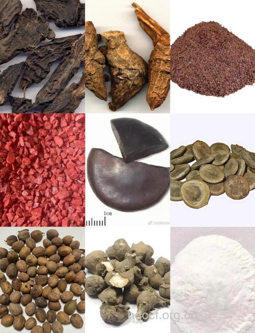 小心！这三味中药毒性最大