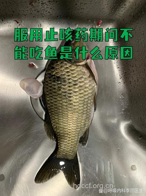 为何服用止咳药期间不能吃鱼?