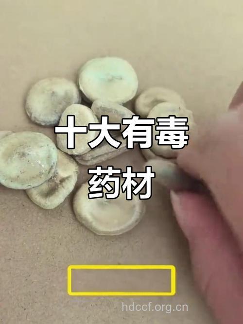 中药吃得不恰当反而成毒药