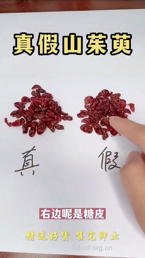 教你如何辨别山茱萸