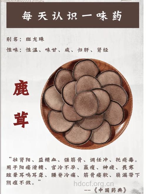 五种人群不宜服用鹿茸
