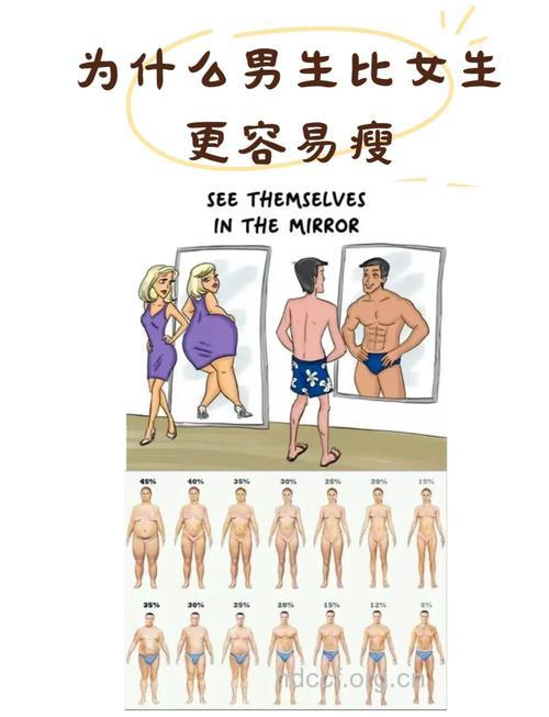 男人减肥为什么比女人容易