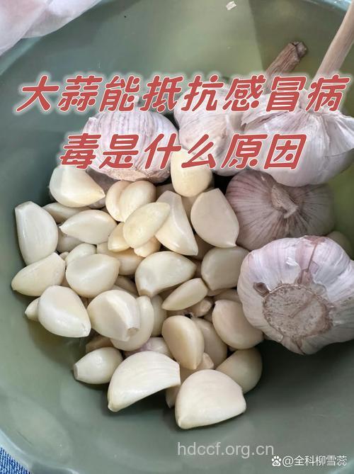 专家：防甲流病毒葱蒜并无效果