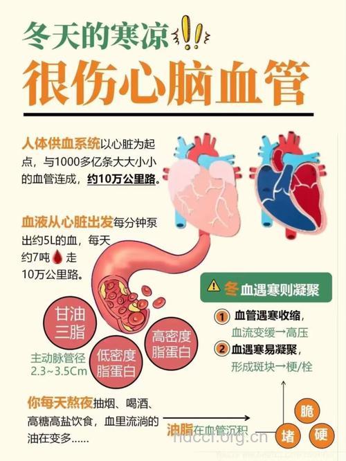 心脑血管疾病突然发作的治疗步骤和误区