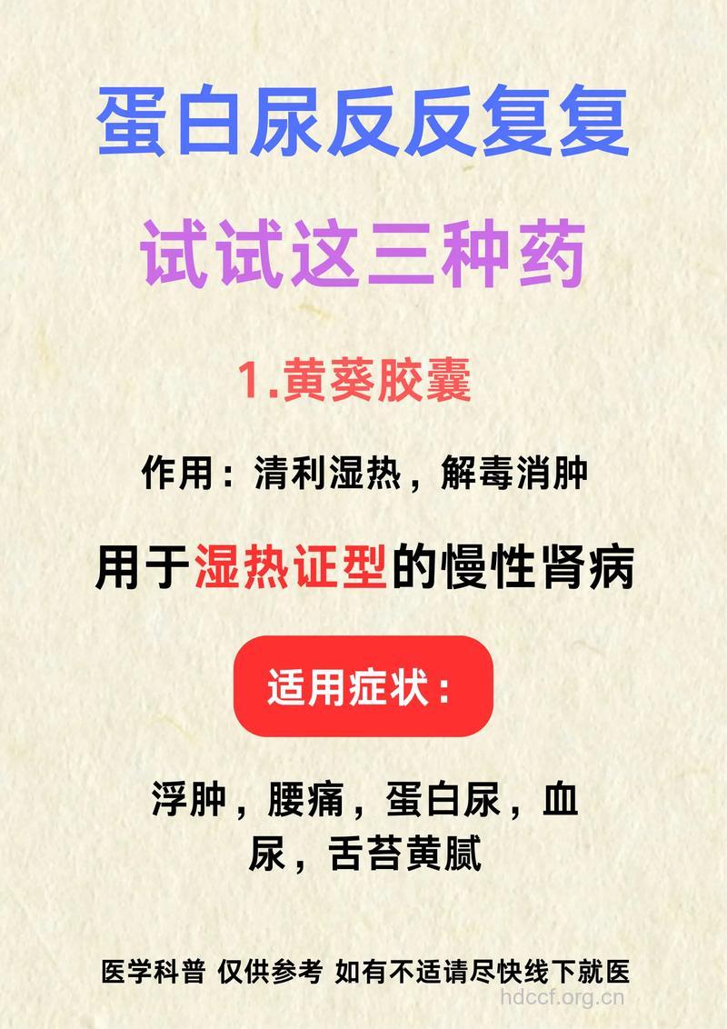 如何用中药应付蛋白尿?