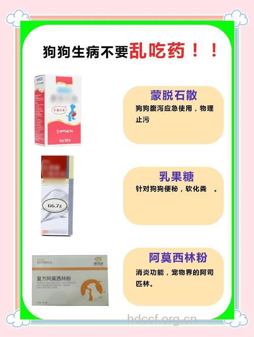 动物用药应注意的问题