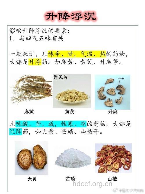 药物的升降沉浮可治疗疾病