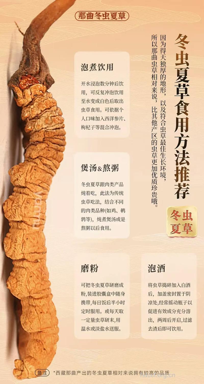 冬虫夏草怎么吃才正确？