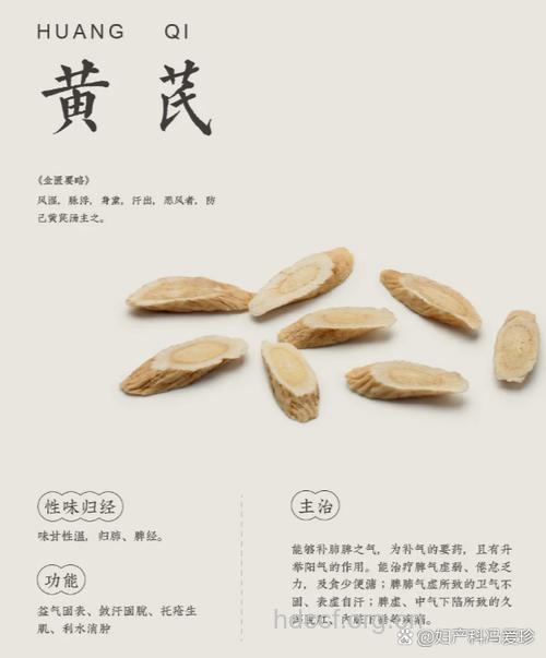 人参与黄芪两者有什么区别？