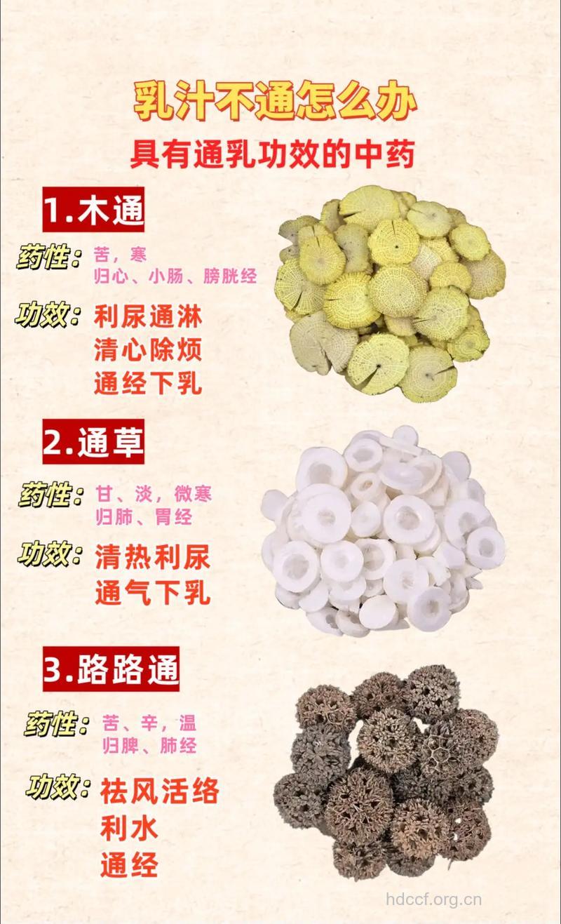 如何用中药巧治乳痛?