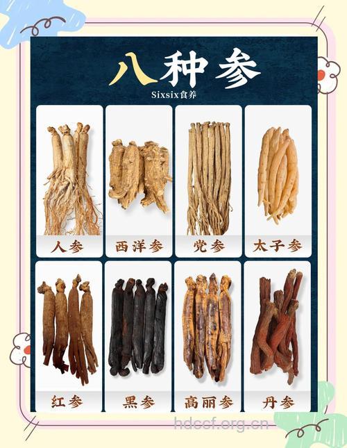 “八参”疗效有哪些不同?