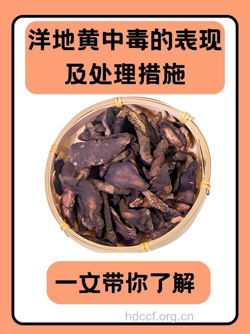 洋地黄类药物过量使用易中毒