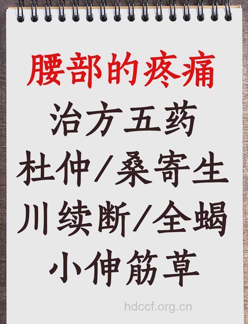 如何用中药治疗腰痛?