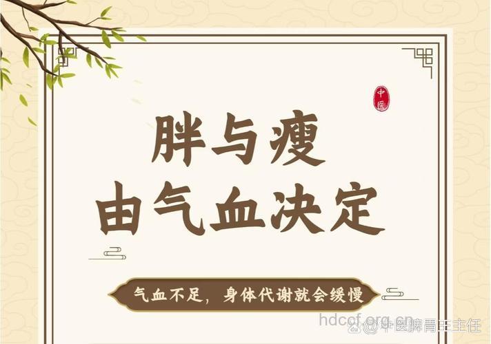 中医 肥胖者多气虚要补气
