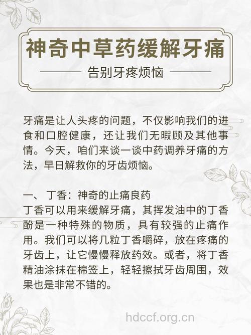 哪些中药可以缓解牙痛？
