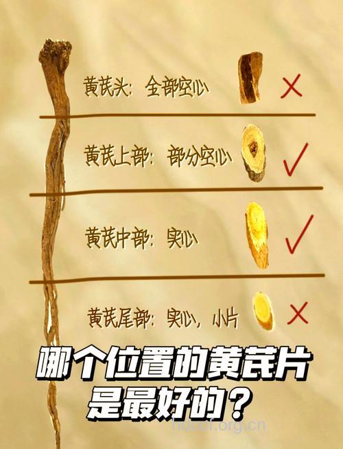 如何判断中药是否变质