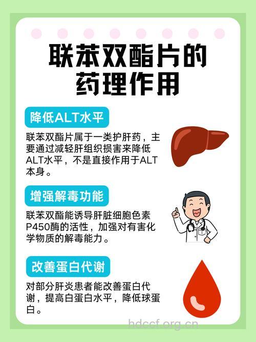 保肝药联苯双酯可能损害肝功能