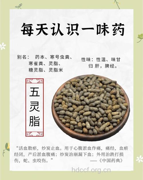 安全有效的中药减肥药