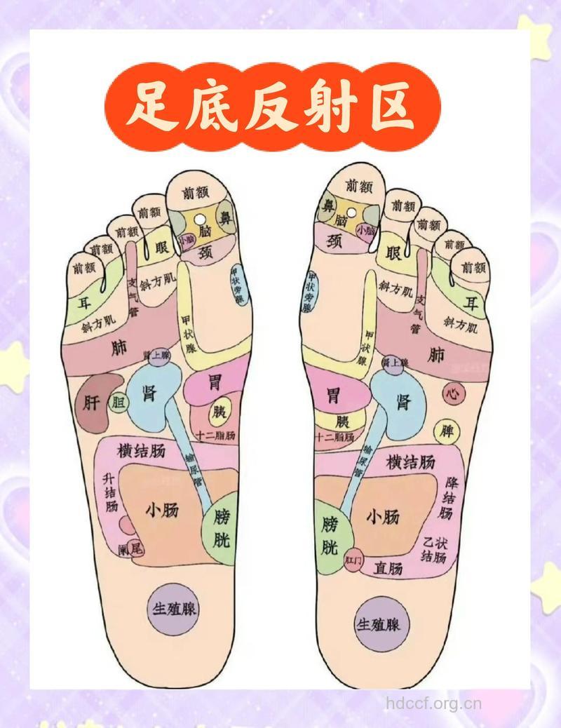脚底按摩减肥的穴位