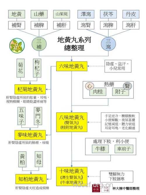 盘点:补肾地黄丸的“八兄弟”