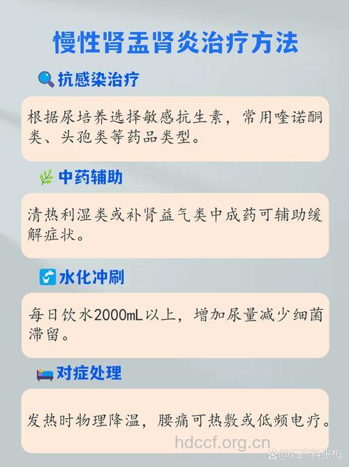 慢性肾盂肾炎的抗感染治疗