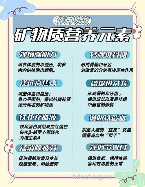 慢性病人：补充维生素和矿物质很重要