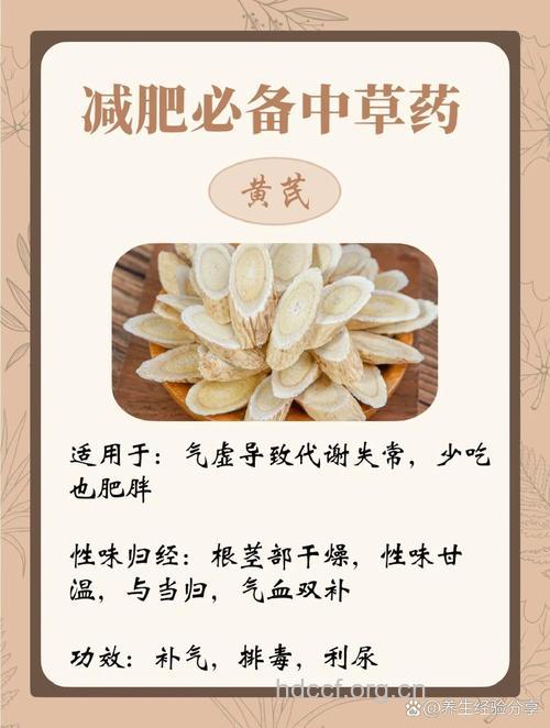 最常见的四大减肥中药
