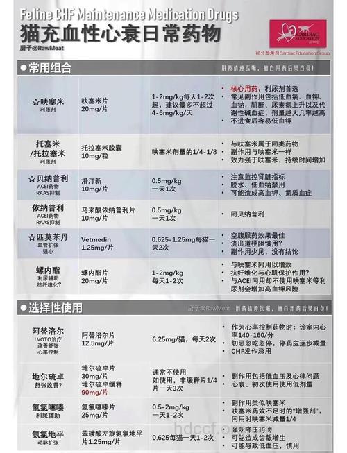 如何正确服用利尿药