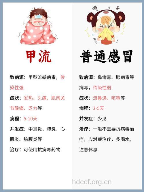甲流来袭,普通感冒同样不可轻视