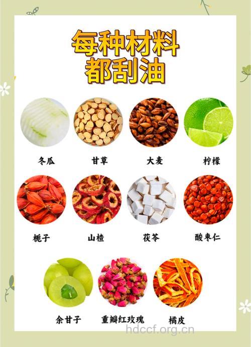 常见的四味中药减肥药材