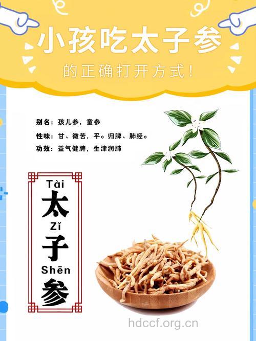 小儿可以服用人参吗？