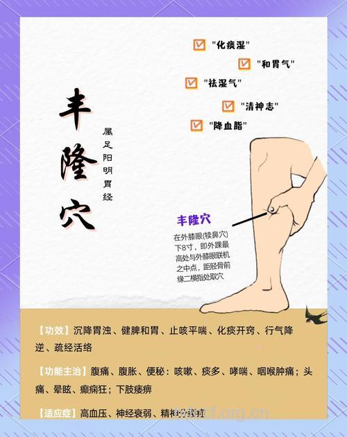 中医怎么用丰隆穴减肥