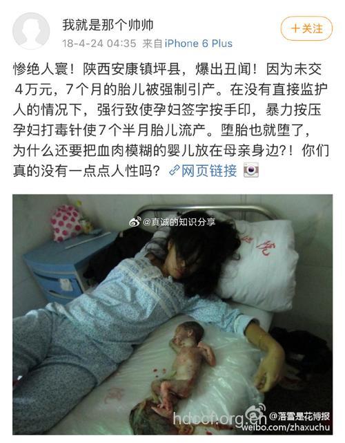 孕妇滥服药易致后代同性恋