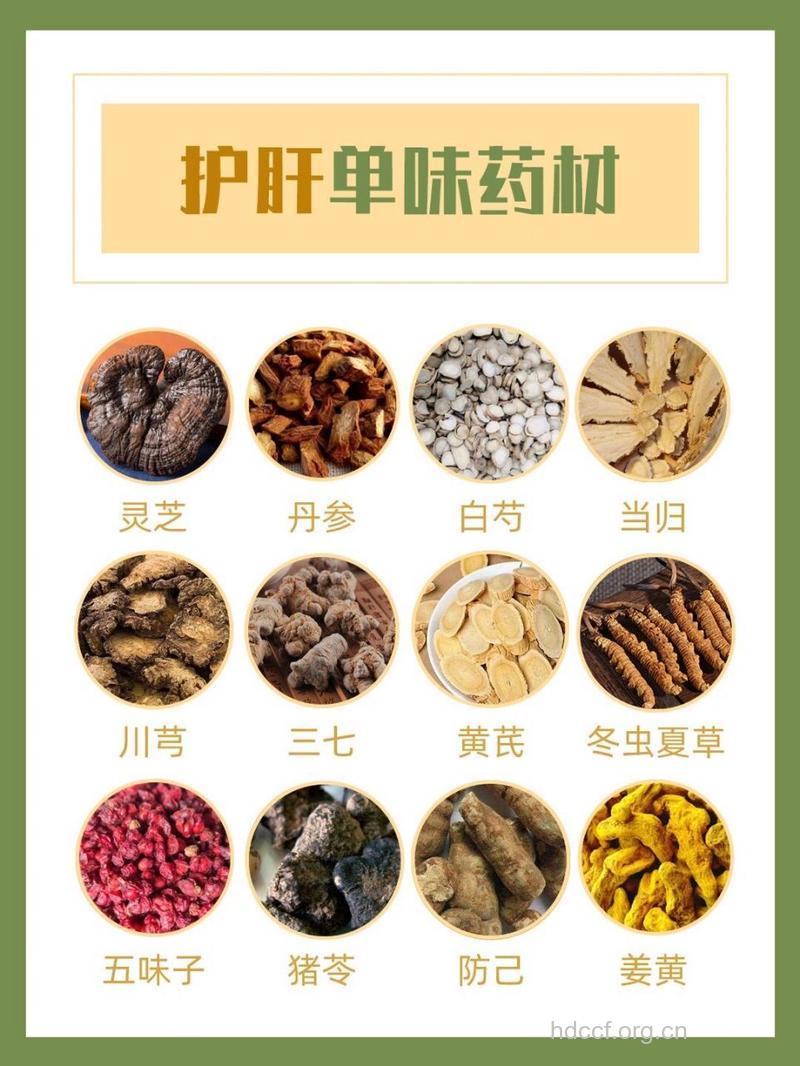 可引起药物性肝病的中药种类